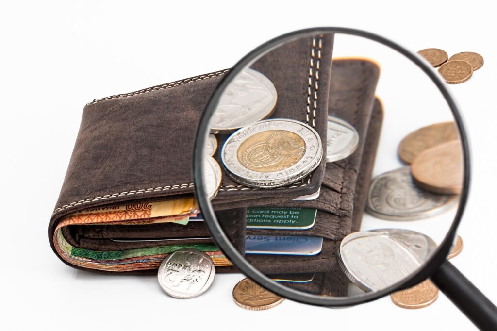 wallet, coins, magnifying glass, credit card, cash, investment, money, financial, finance, commerce, wealth, payment, currency, increase, budget, savings, banking, purchase, banknote, coin, wallet, wallet, money, money, money, money, money, finance, payment, budget, budget, budget, budget